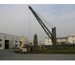 Marine cargo crane